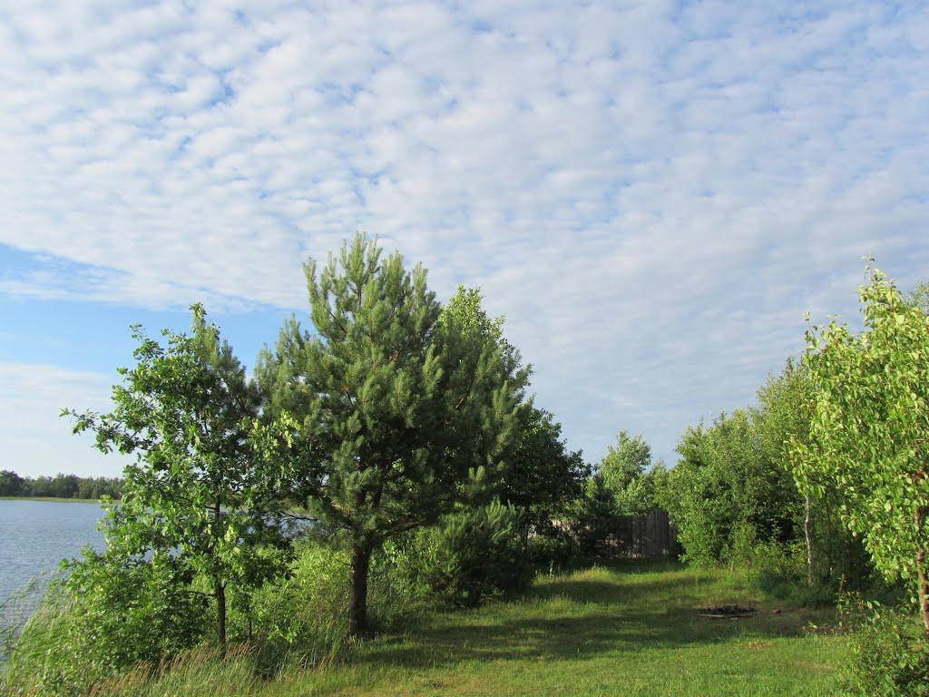 Підріччя з panoramio.com - Підріччя