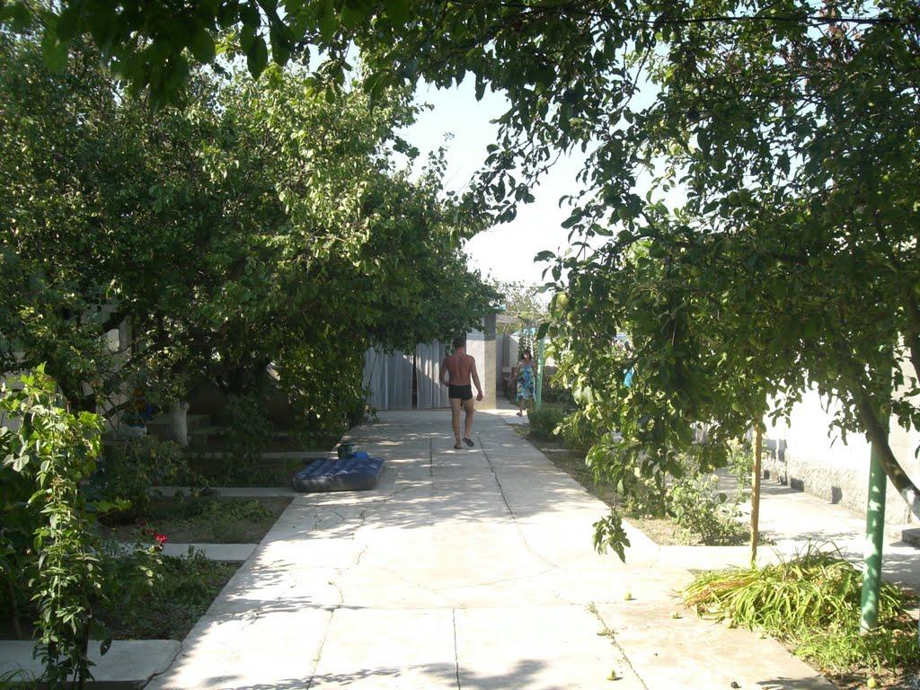 Окунівка з panoramio.com - Окуневка