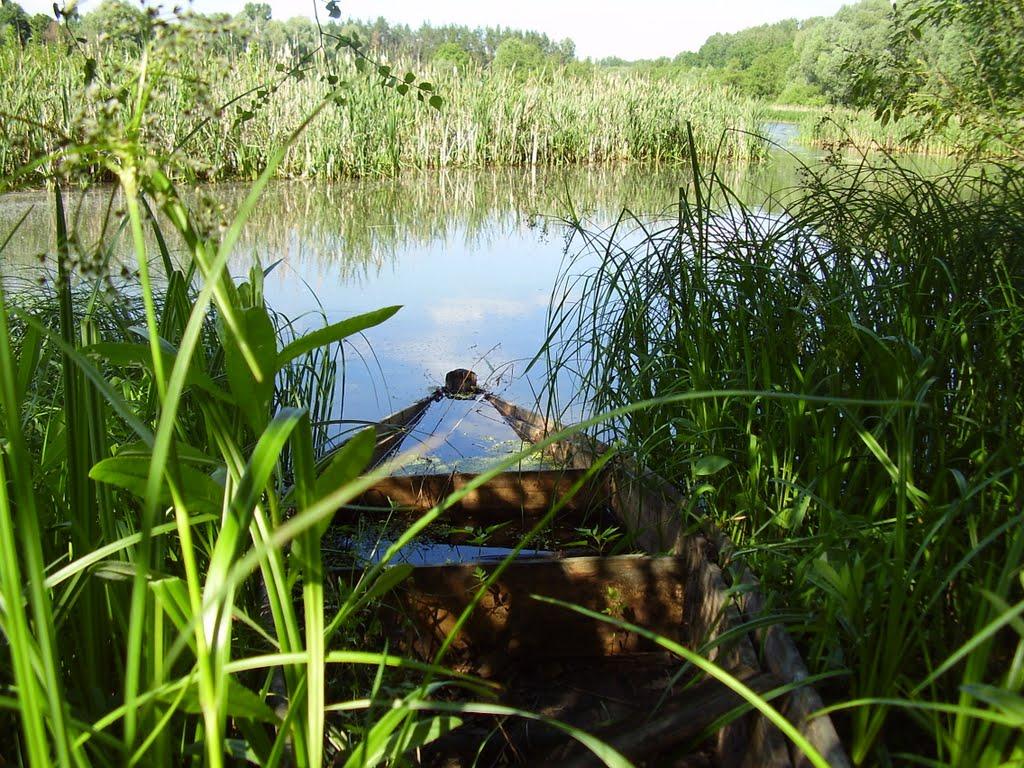 Кирияківщина з panoramio.com - Кирияковщина