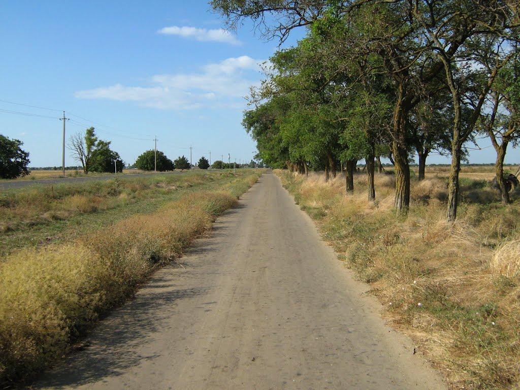 Кропоткіне з panoramio.com - Кропоткіне