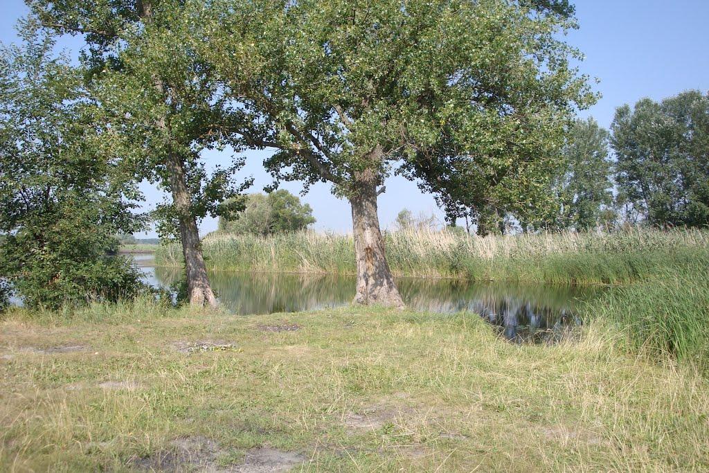 Горошине з panoramio.com - Горошине