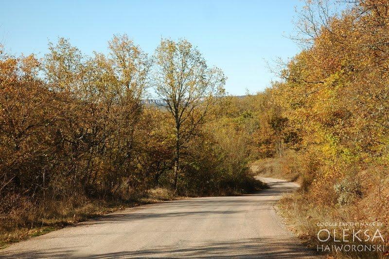 Новопілля з panoramio.com - Новополье
