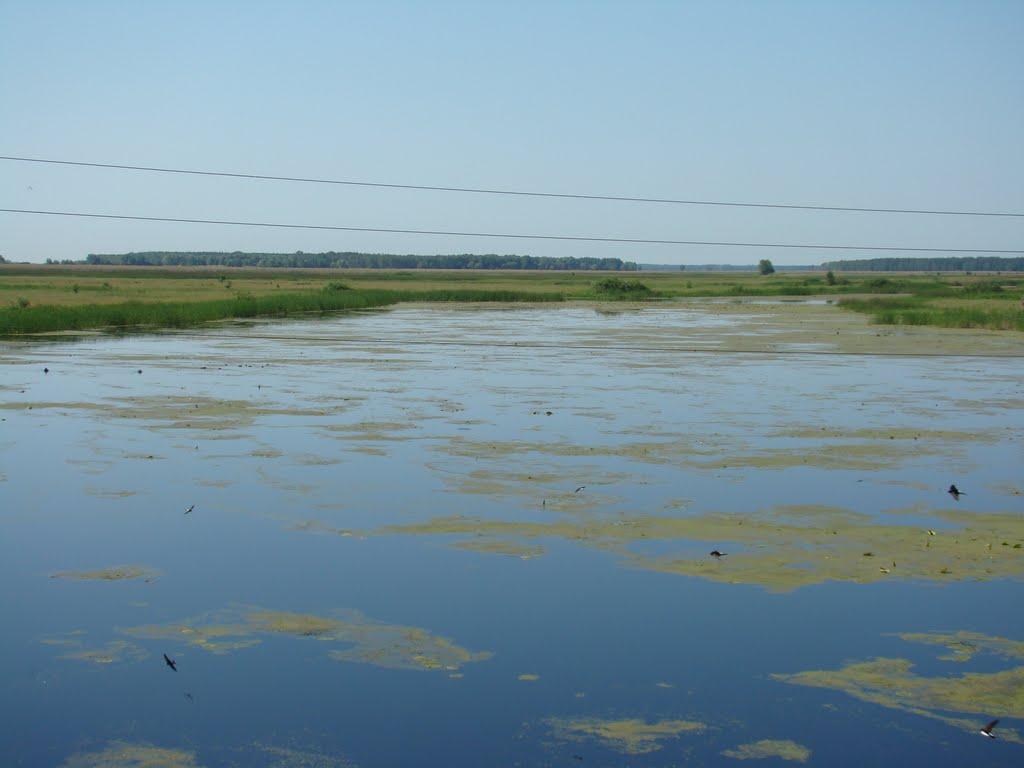 Горошине з panoramio.com - Goroshyne