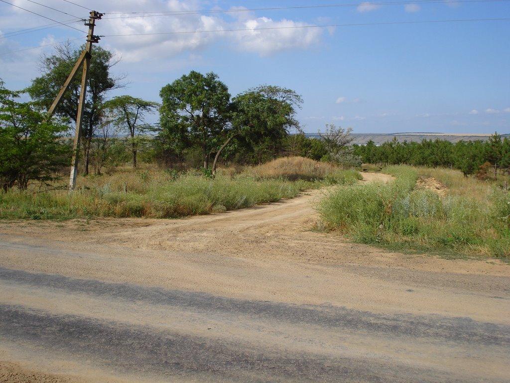 Ковалівка з panoramio.com - Ковалівка
