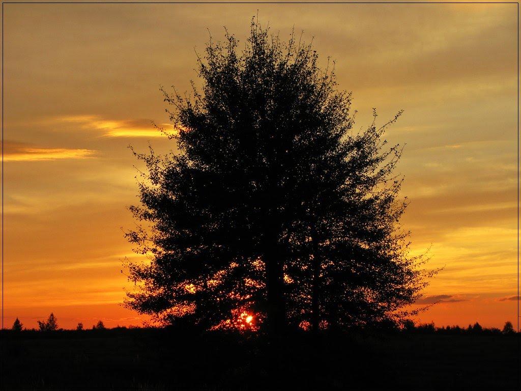 Колісники з panoramio.com - Колісники