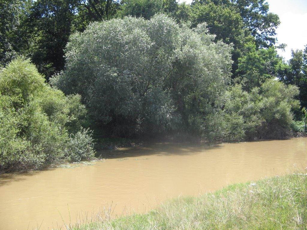 Оклі з panoramio.com - Окли