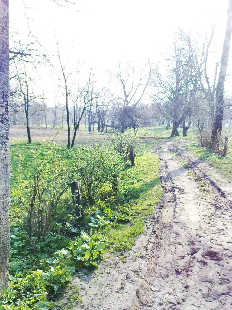 Нова Мощаниця з panoramio.com - Нова Мощаниця