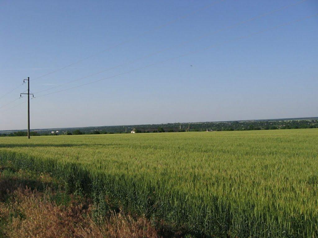 Арбузинка з panoramio.com - Arbuzynka