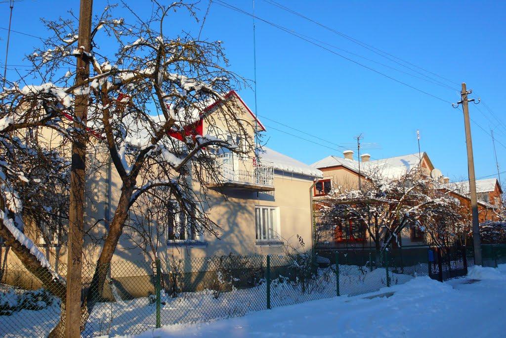 Лопатин з panoramio.com - Лопатин
