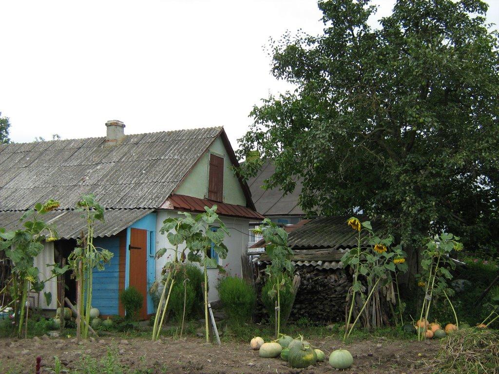 Піски з panoramio.com - Pisky