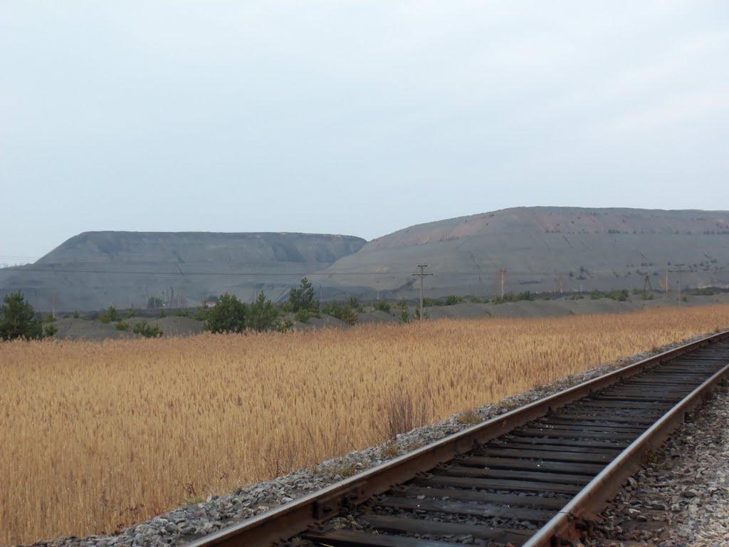 Соснівка з panoramio.com - Соснівка