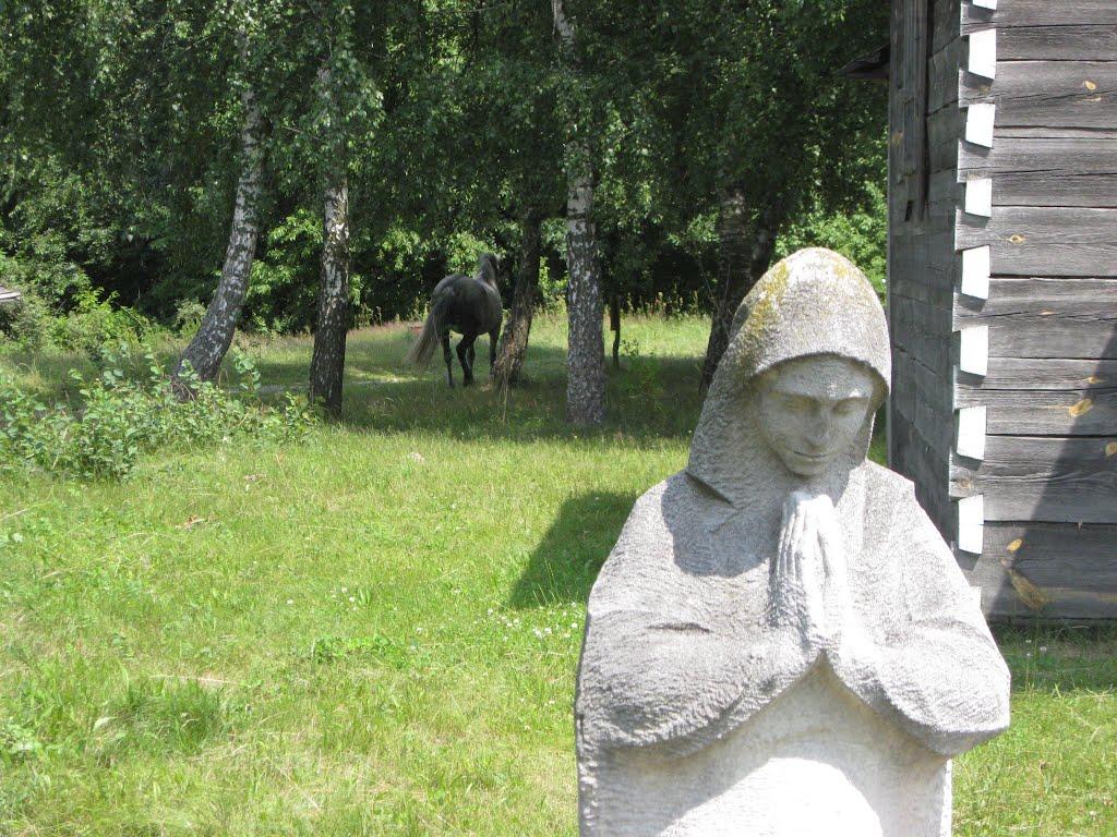 Сирники з panoramio.com - Сирники