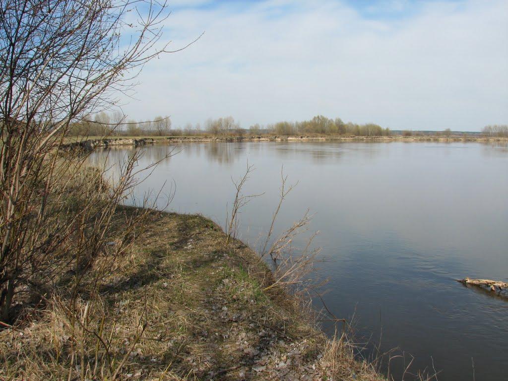 Куковичі з panoramio.com - Куковичи