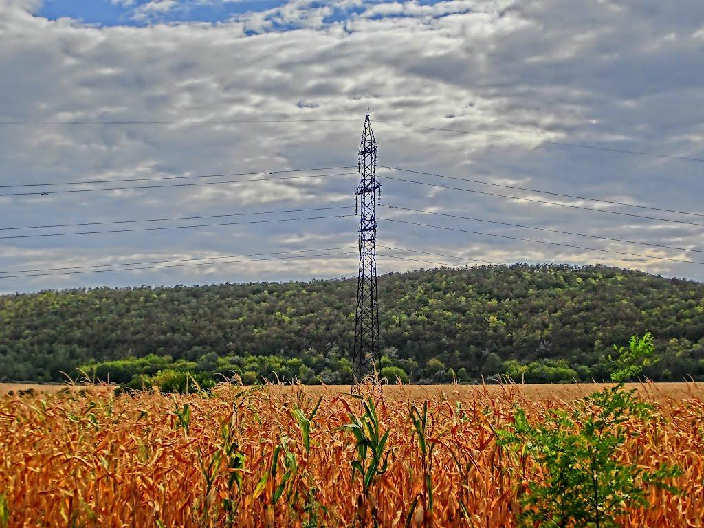 Бандурівка з panoramio.com - Бандурівка