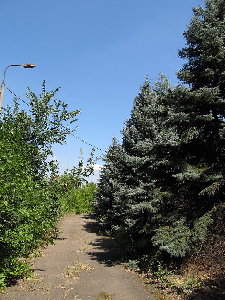 Інгулець з panoramio.com - Інгулець