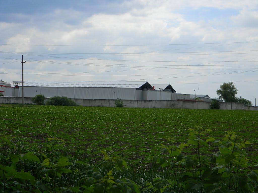 Білозір'я з panoramio.com - Белозерье