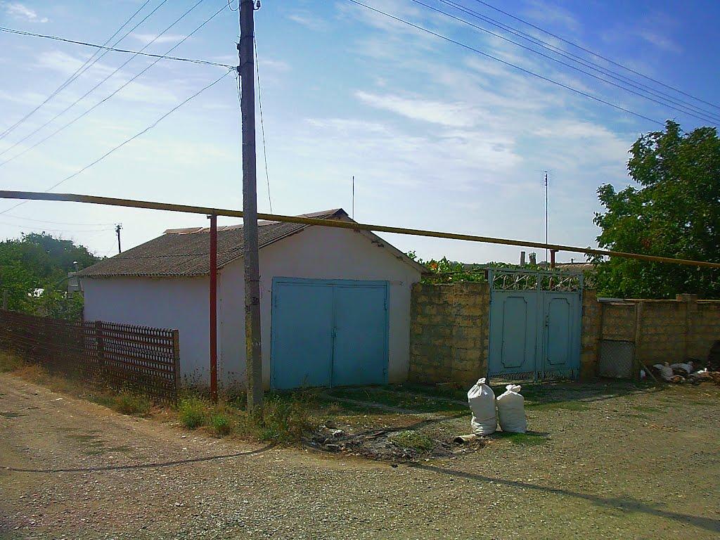 Шевченкове з panoramio.com - Шевченково