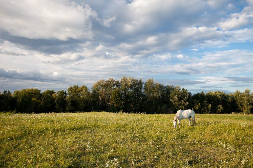 Харліївка з panoramio.com - Харлиевка