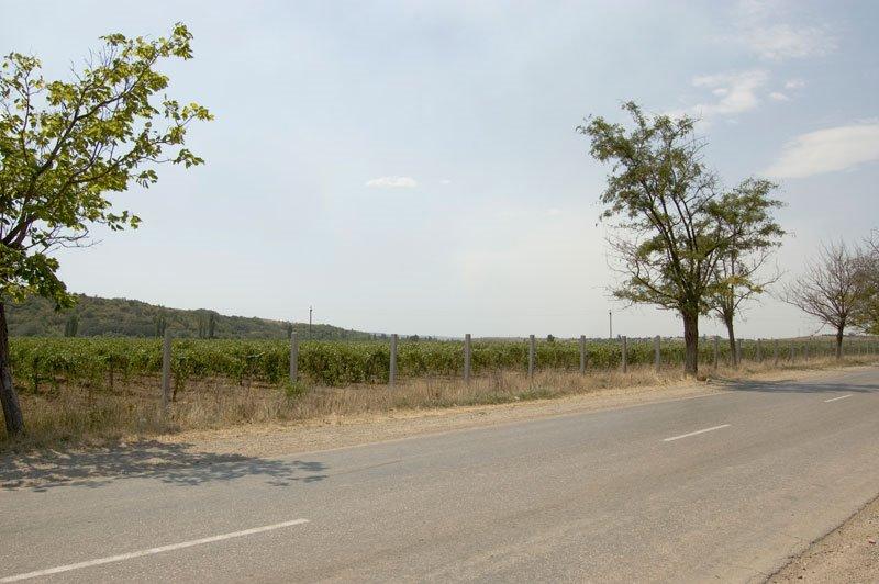 Шевченкове з panoramio.com - Шевченково