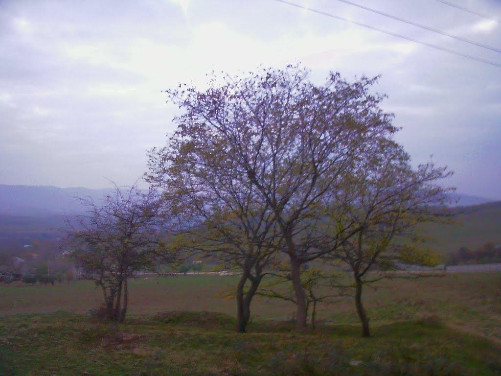 Плотинне з panoramio.com - Плотинное