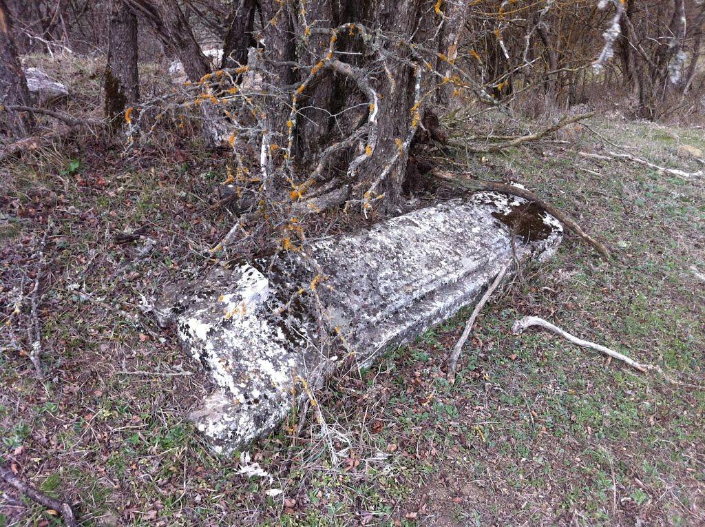 Синапне з panoramio.com - Синапне
