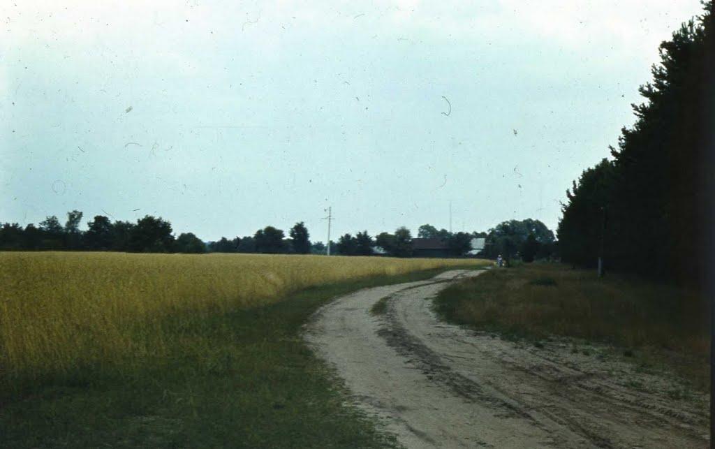 Карпилівка з panoramio.com - Карпиловка