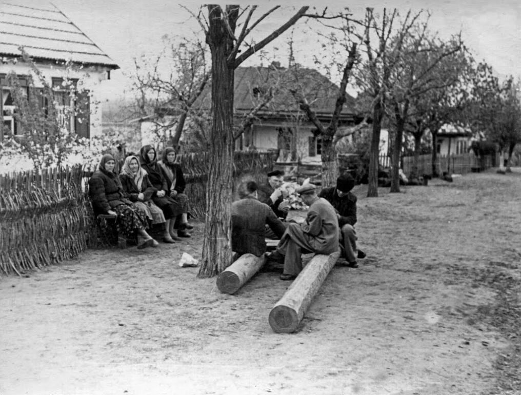 Дронівка з panoramio.com - Дронівка