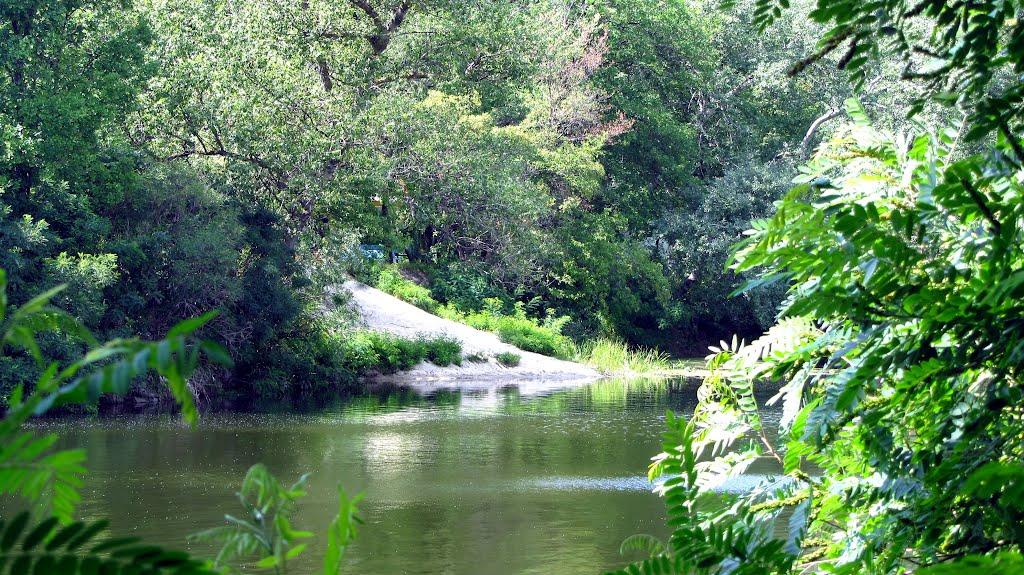 Кияшки з panoramio.com - Кияшки