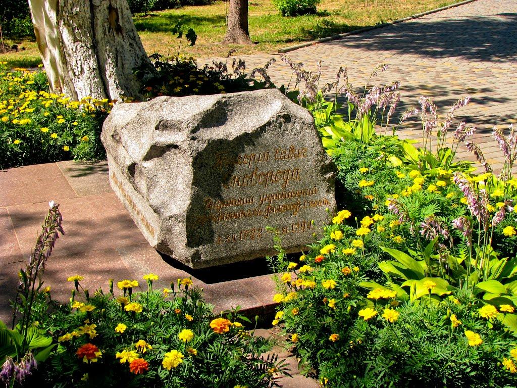 Сковородинівка з panoramio.com - Сковородинівка