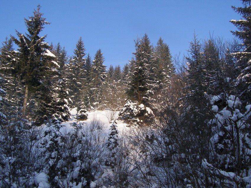 Пилипець з panoramio.com - Pylypets