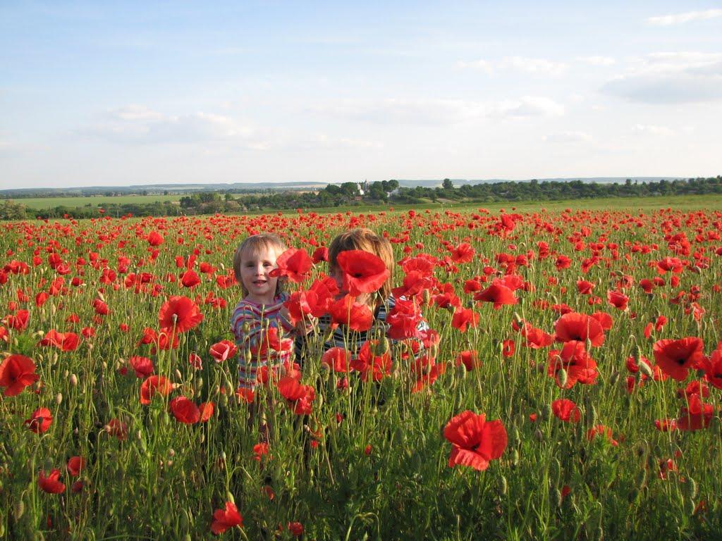 Русанівці з panoramio.com - Русанівці