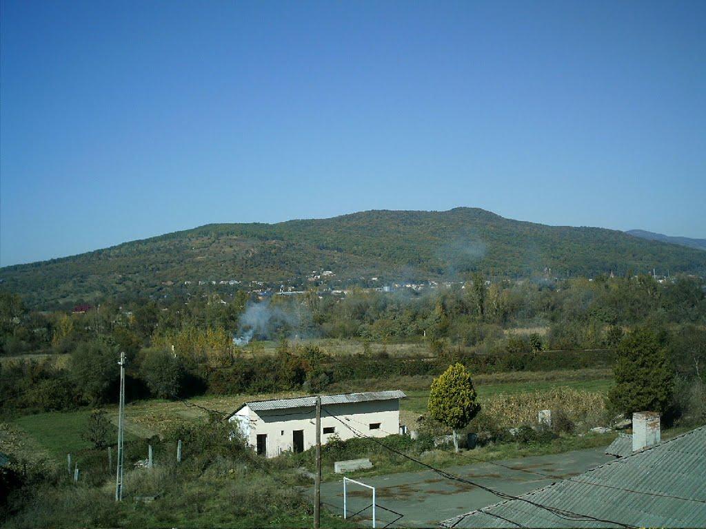 Великий Бичків з panoramio.com - Великий Бычков