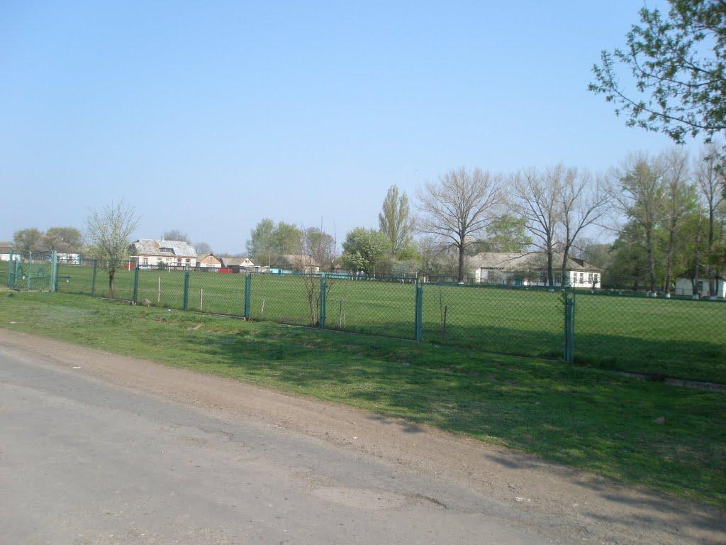 Радивонівка з panoramio.com - Радивонівка