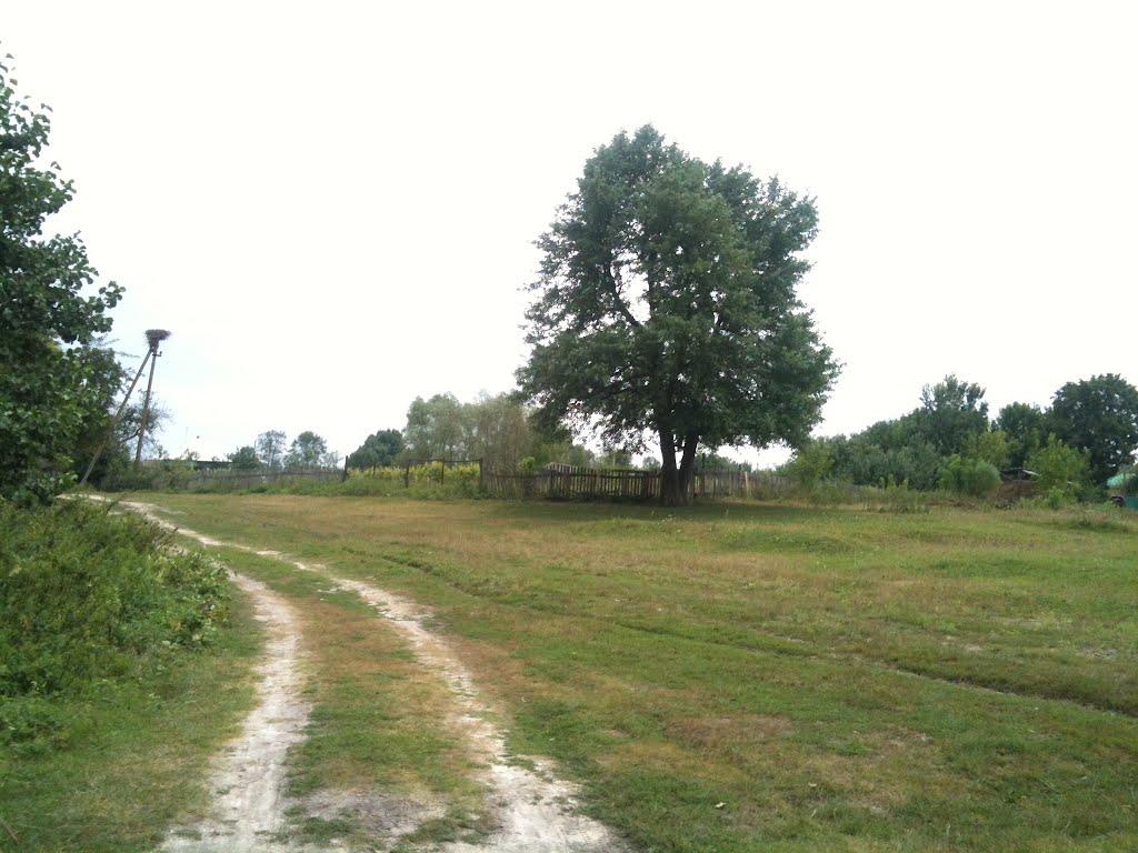 Любитове з panoramio.com - Любитово
