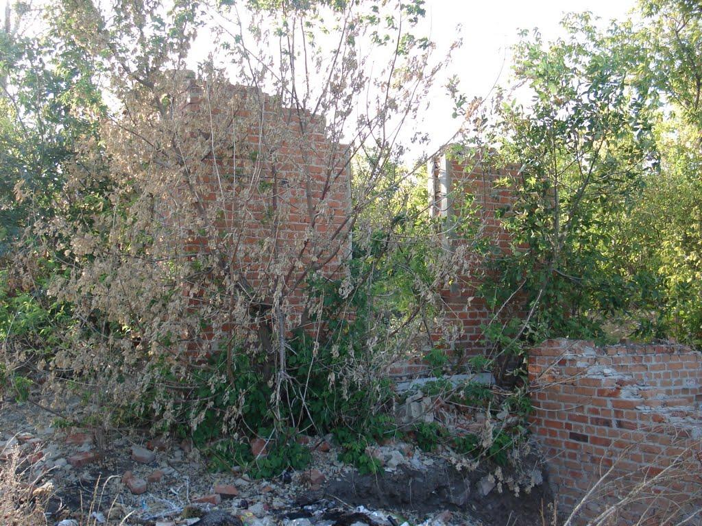 Берека з panoramio.com - Берека