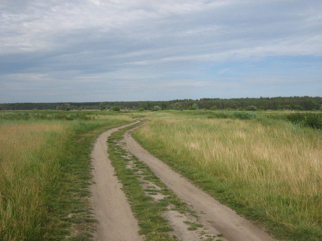 Гостомель з panoramio.com - Гостомель