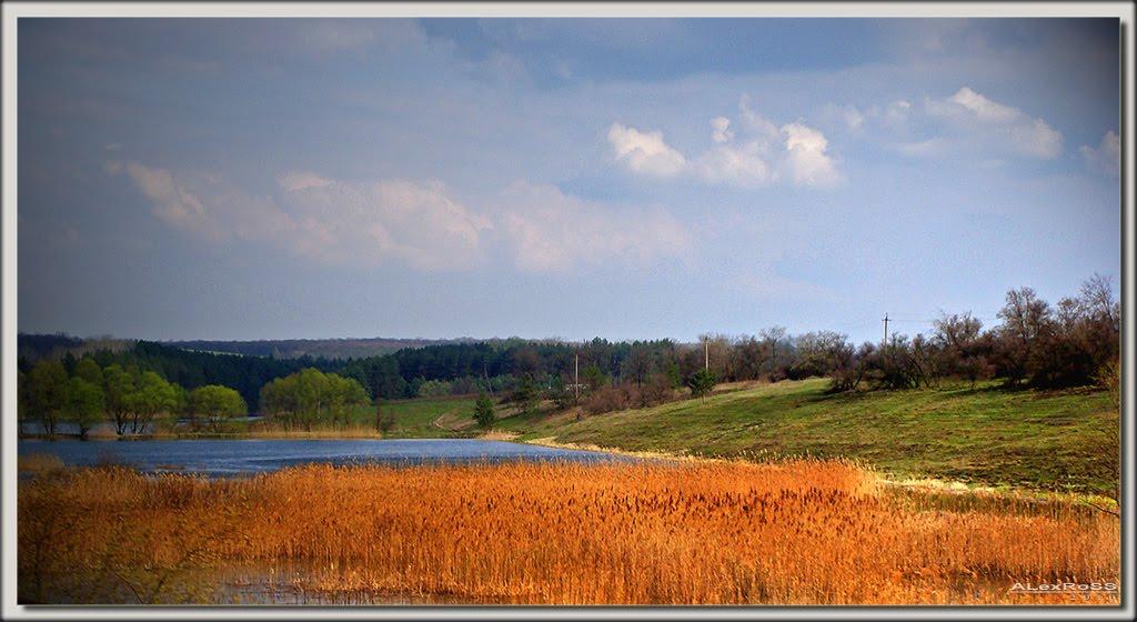 Дудківка з panoramio.com - Dudkivka