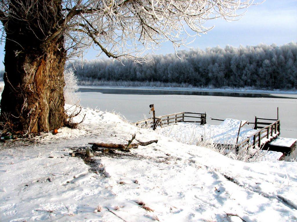 Куковичі з panoramio.com - Куковичи