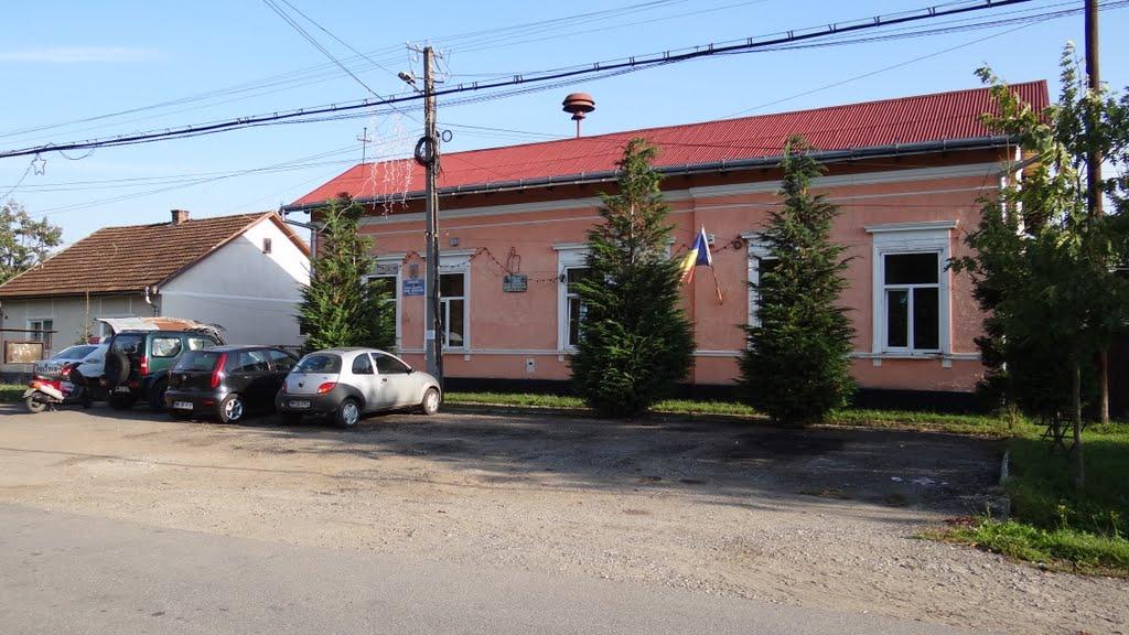 Великий Бичків з panoramio.com - Великий Бычков