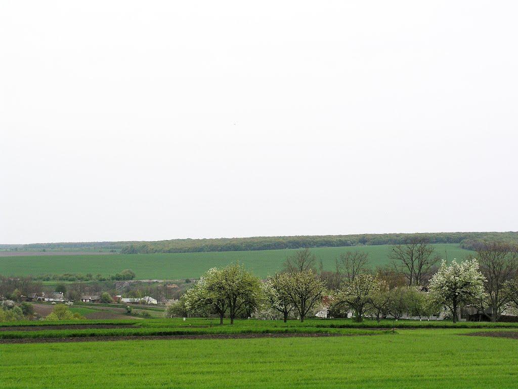 Макіївка з panoramio.com - Макеевка