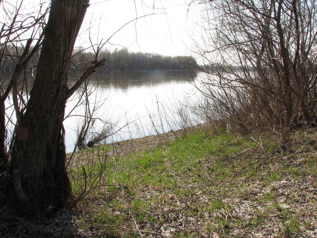 Куковичі з panoramio.com - Куковичи