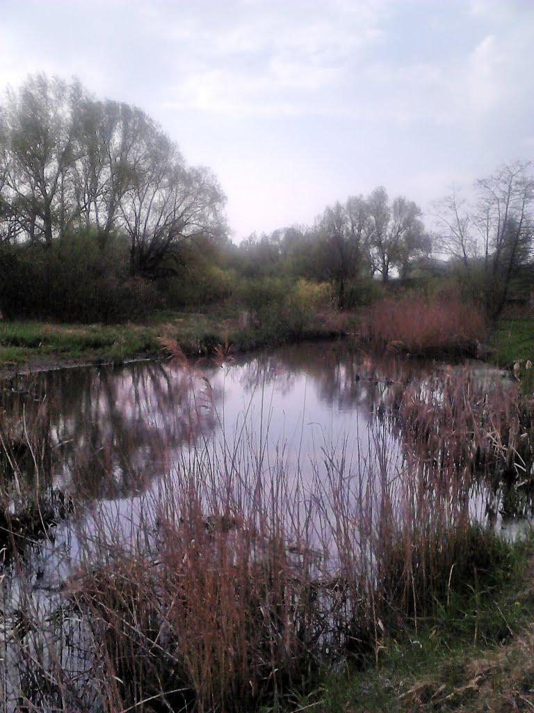 Капустинці з panoramio.com - Капустинці