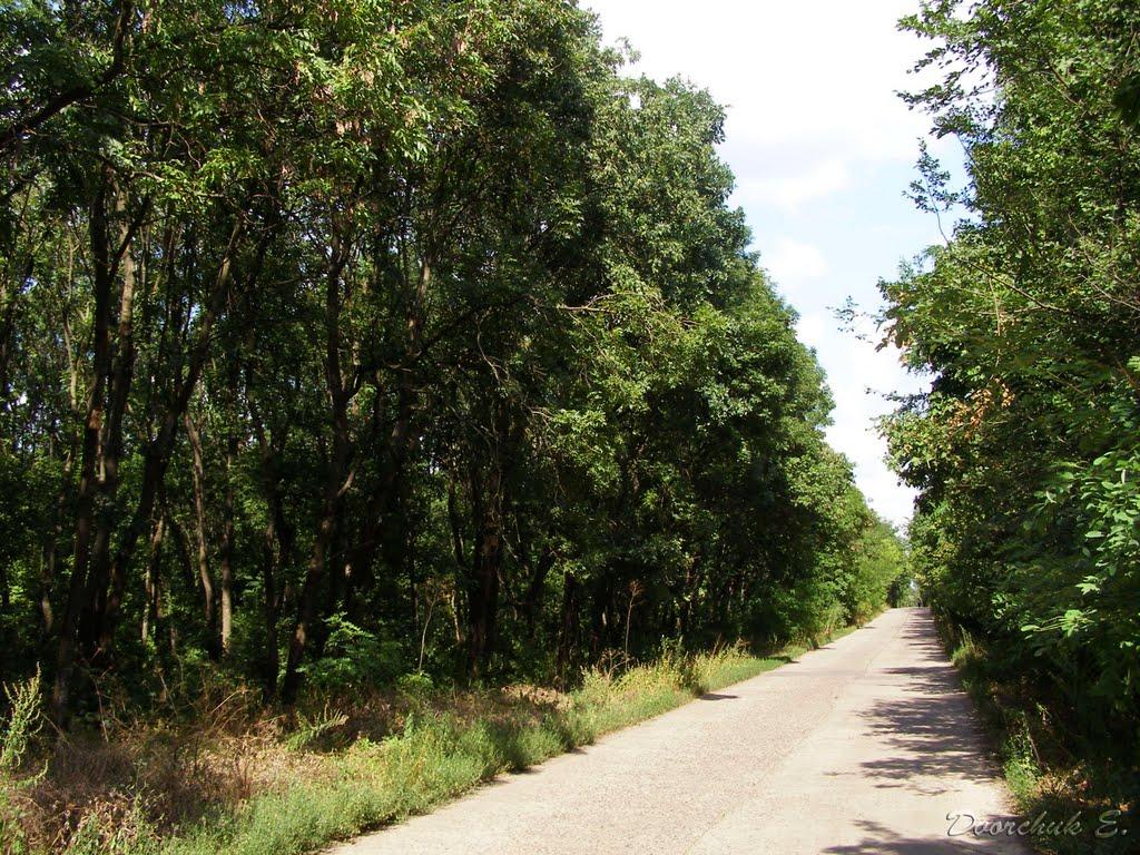 Ганнівка з panoramio.com - Ганнівка