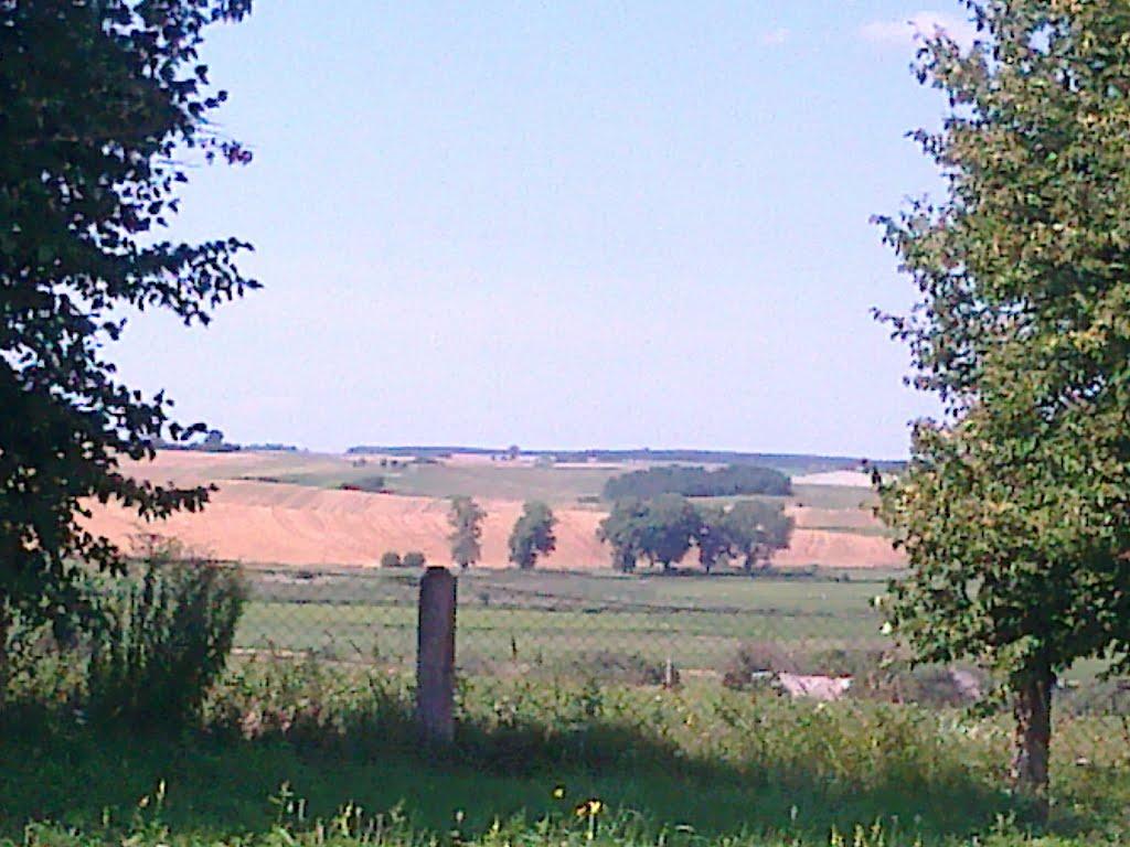 Сатиїв з panoramio.com - Сатыев