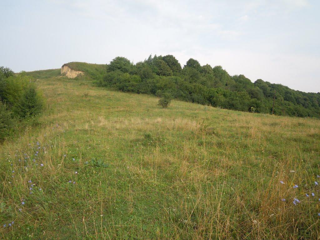Ізяслав з panoramio.com - Изяслав