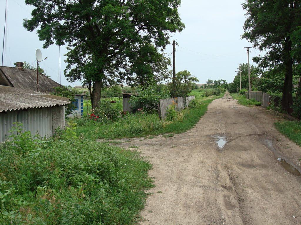Голов'ятине з panoramio.com - Головятино