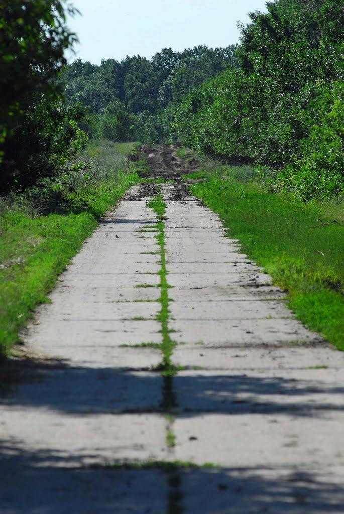 Глинське з panoramio.com - Глинське