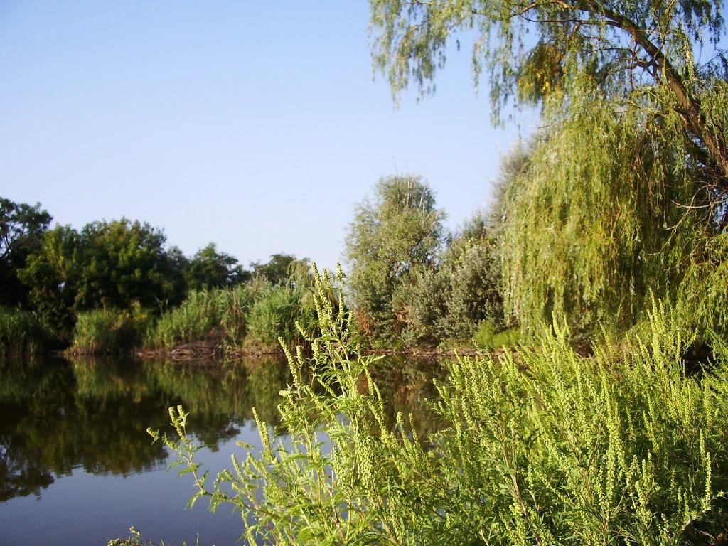 Новоохтирка з panoramio.com - Новоохтирка