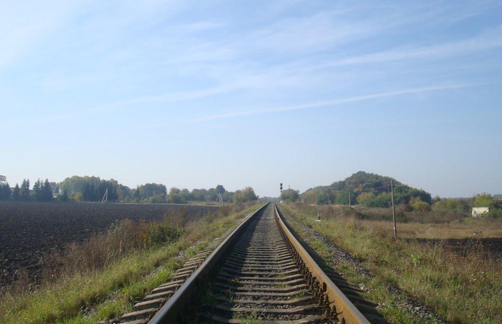 Лісоводи з panoramio.com - Лісоводи