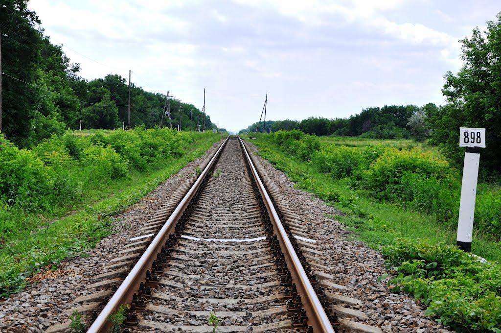 Шульгинка з panoramio.com - Шульгинка